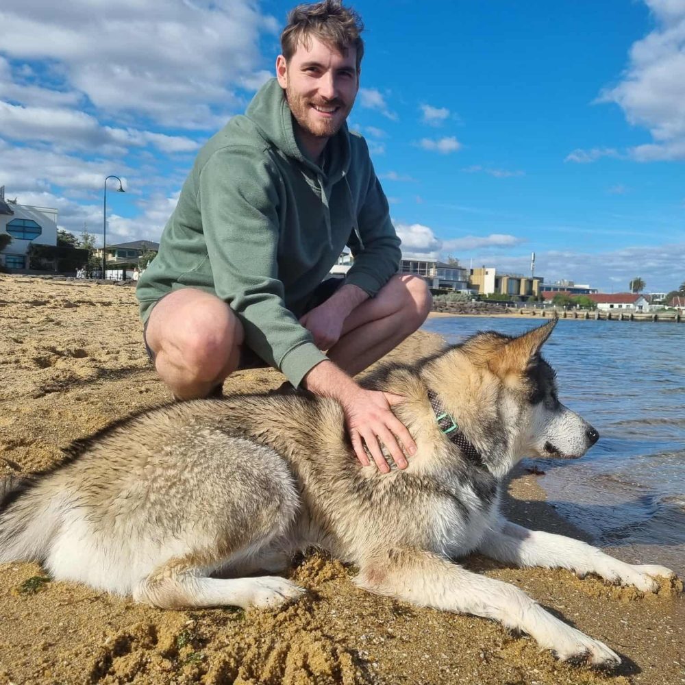 att.zTO8nk2KCgstJl-L47KI_7cqXggu9KbmbHNMkGT--Ps